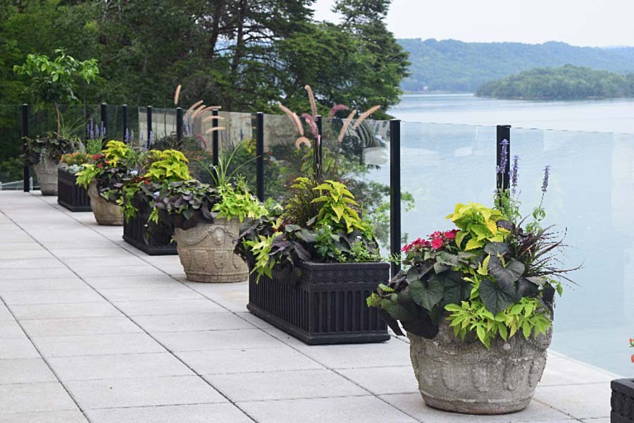 Landscape design and planting, Knoxville TN